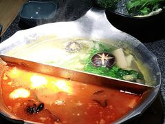 -湊湊火锅·茶憩(郑州绿地新都会店)