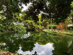 -成都市活水公园