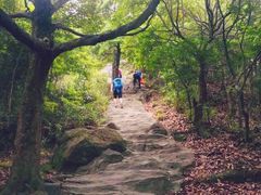 -梧桐山风景名胜区