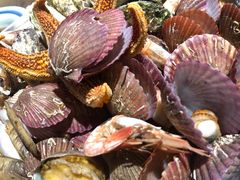 -永红源啤酒·烧烤·海鲜·大排档(青特城店)