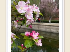 -海棠花溪(元大都城垣遗址公园)