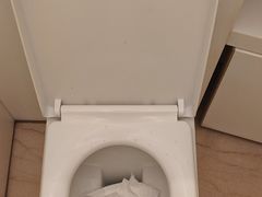 -港汇恒隆广场