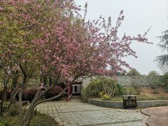 -洛阳市隋唐城遗址植物园