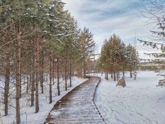 -北极村旅游风景区