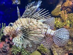 -上海海洋水族馆