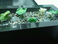 android_upload_pic-苏州苏哥利酒店