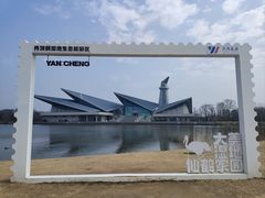 -盐城丹顶鹤湿地生态旅游区