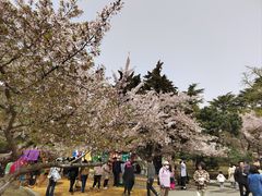 -青岛海滨风景区