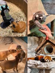 -Zoolung Zoolung动物主题公园(海信广场店)