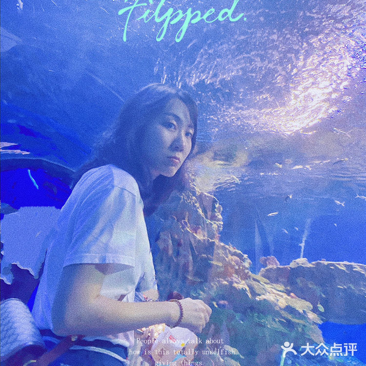 成都周末好去处 遛娃 情侣 都出片…