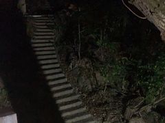 -天怡·鱼工厂(梅溪湖店)