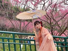 -重庆彩云湖湿地公园