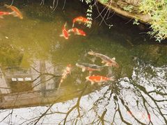 -香然会·园林雅宴(陆家嘴店)