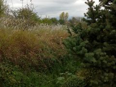 -商洛老君山旅游风景区