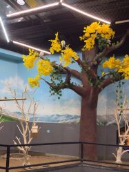 -未来动物城主题公园(正弘城店)