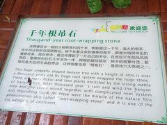 -呀诺达热带雨林