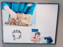 -御宝贝·A梦猫科宠物医院(国际猫友好医院)