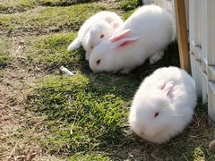 -李小龙乐园(顺德均安店)