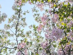 -浙江大学(玉泉校区)