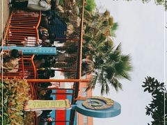 -海合安武汉极地海洋公园