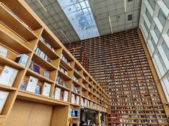 -朵云书院(滴水湖店)