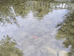 -北京动物园