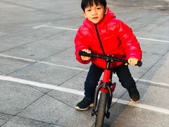 -稚马儿童平衡车自行车俱乐部