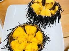 活海胆-海胆小馆(春柳店)