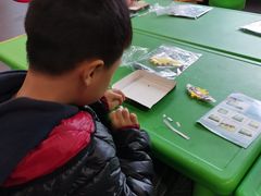 -陕西省小天鹅艺术团