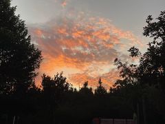 -九龙江国家森林公园