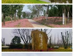 -白鹭湾湿地公园