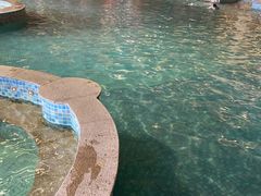 -咸宁万豪温泉谷度假区