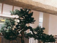 -十二粤味·顺德菜·烧鹅点心(五四广场店)