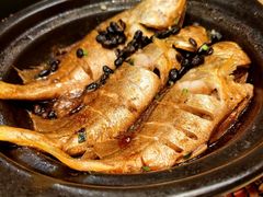焗黄花鱼-邹开喜·炭炉鸡煲·海鲜火锅(虹口足球场店)