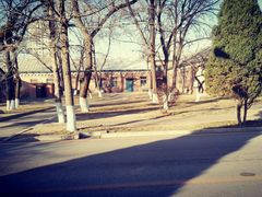沈阳市摄影艺术家协会-东北大学(南湖校区)