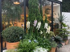 -自由生长植物工作室(深港花卉中心店)