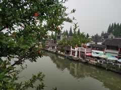 -洞天食府(北大街店)