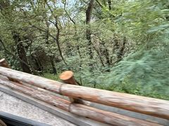 -华夏良子·足道SPA艾灸(龙潭路店)