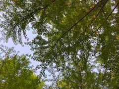 -玲珑塔公园