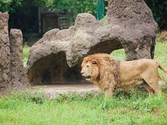 -杭州野生动物世界