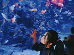 -成都浩海立方海洋公园