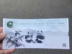 -都江堰中华大熊猫苑