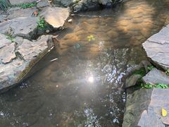 -兰亭风景区