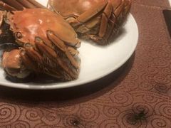 -东方明珠老上海8号餐厅(东方明珠广播电视塔店)