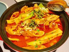 藤椒猪大肠煲-梧桐北京烤鸭·铜锅涮肉(海岸城店)