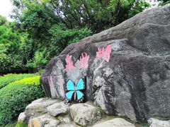 -蝴蝶泉公园