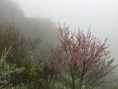 -牛街螺丝田