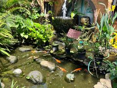 -园林美食城·本土农家菜(杨和镇店)