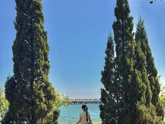 -丁香湖公园