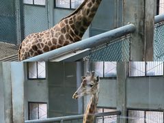 -济南野生动物世界